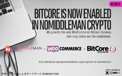 Grow your online business with Nomiddleman by accepting $BTX payments on your website